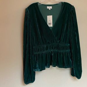 True Craft / Velvet Blouse